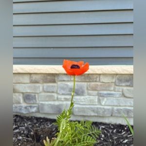 Meet your Posher, GrowWild